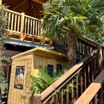 Falcon Timber Celebrates the UK Launch of Imbue™ Wood at London’s Lost Oasis