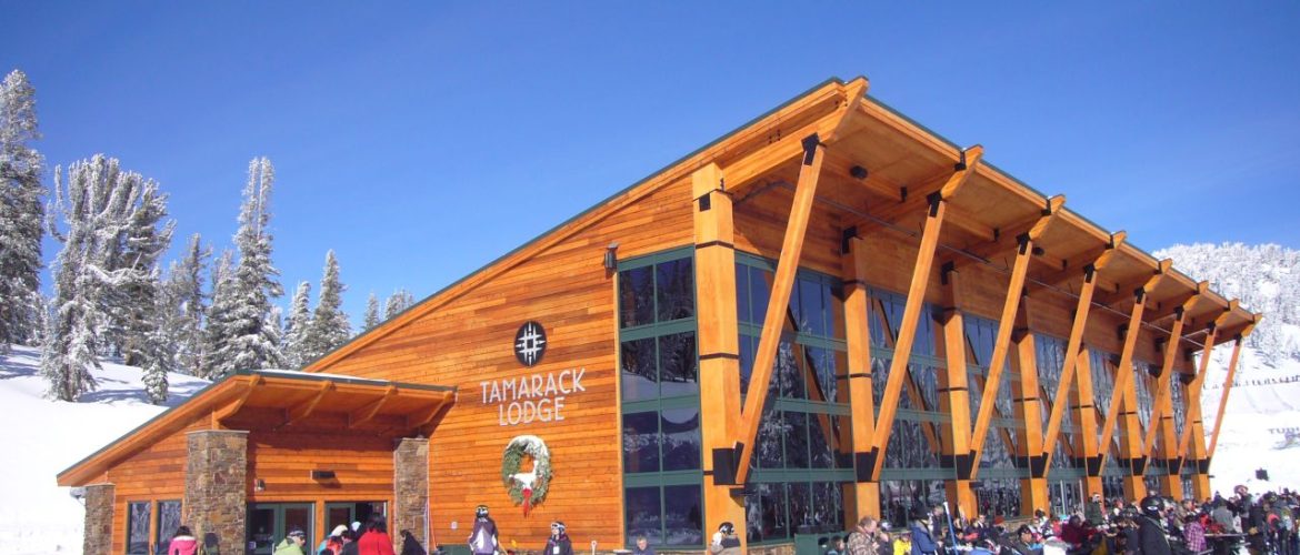 Western Red Cedar